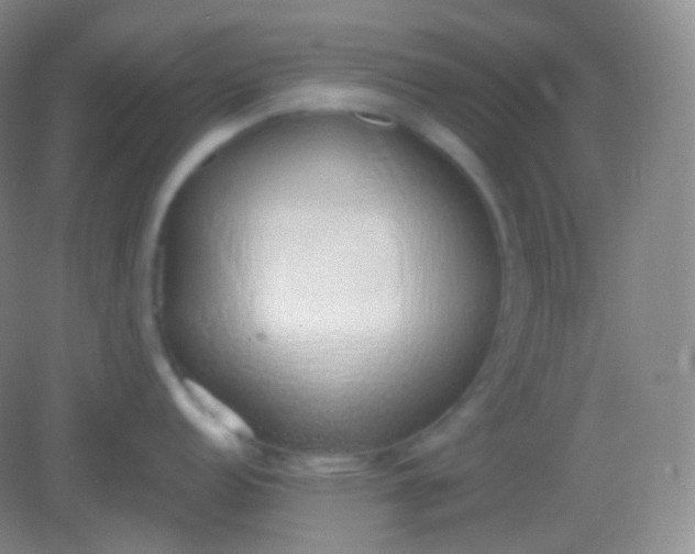 X0000082141152200702021603