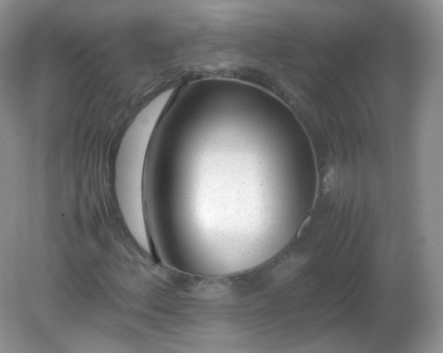 X0000082141156200702021602
