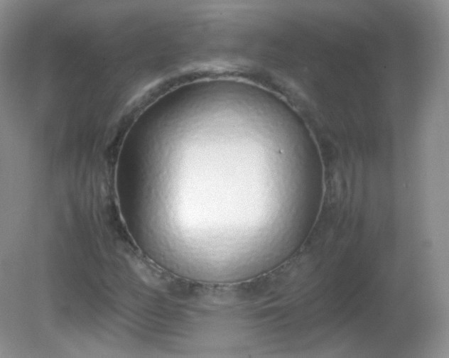 X0000082141158200702021602