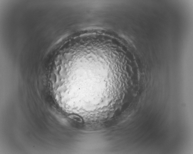 X0000082141159200702021602