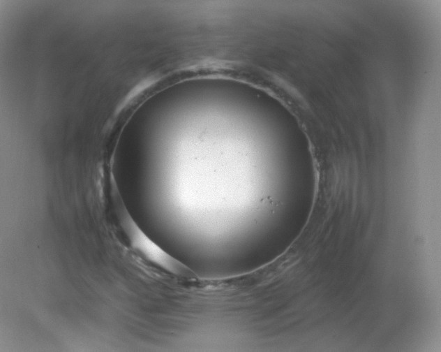 X0000082141160200702021602