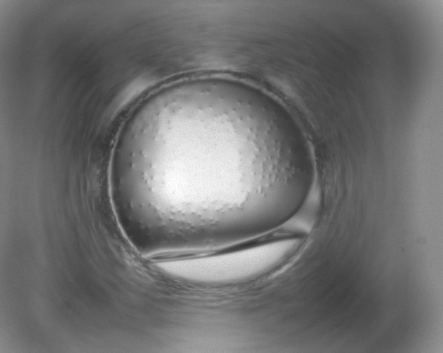 X0000082141163200702021602