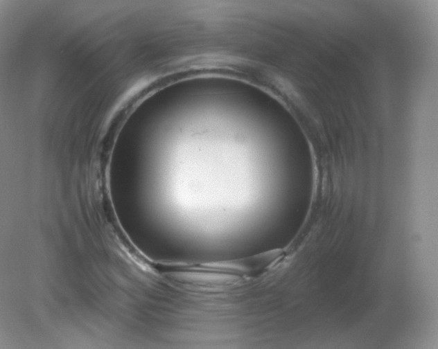 X0000082141164200702021602