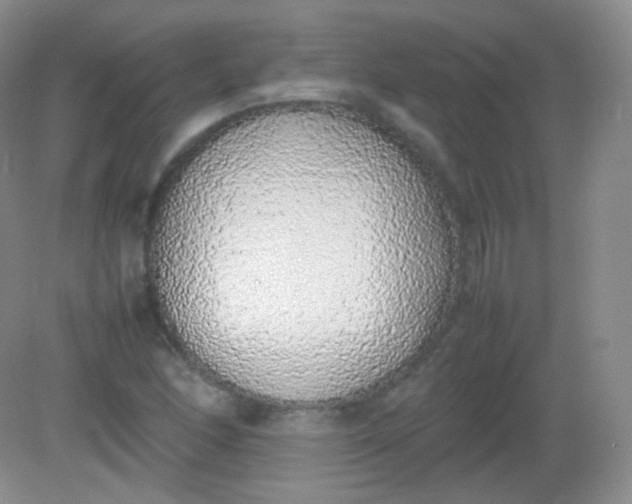 X0000082141166200702021601