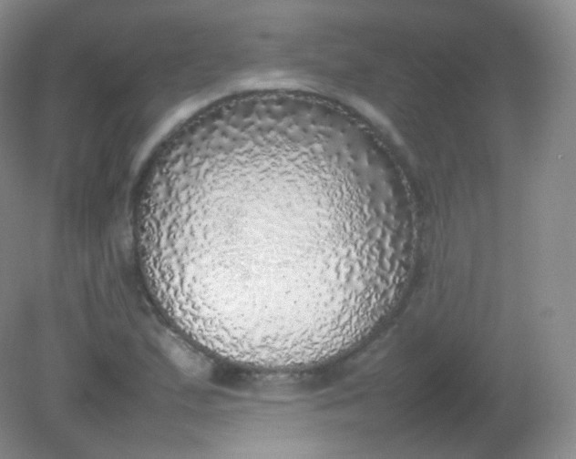 X0000082141167200702021601