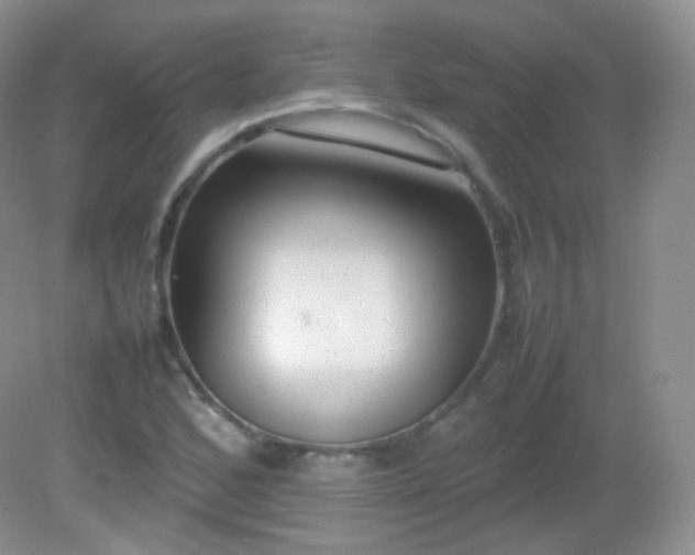 X0000082141168200702021601