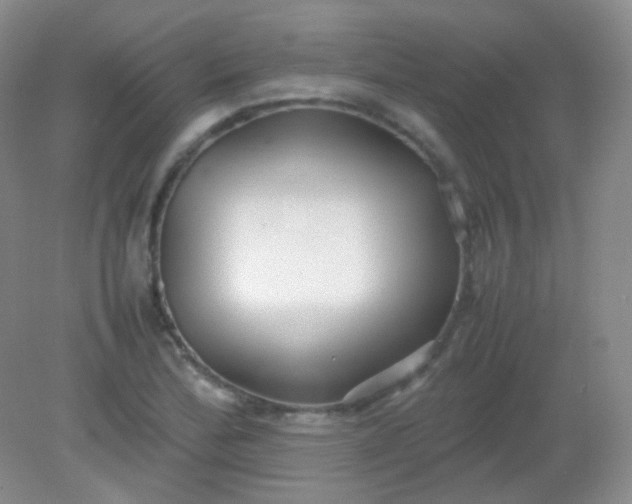 X0000082141172200702021601