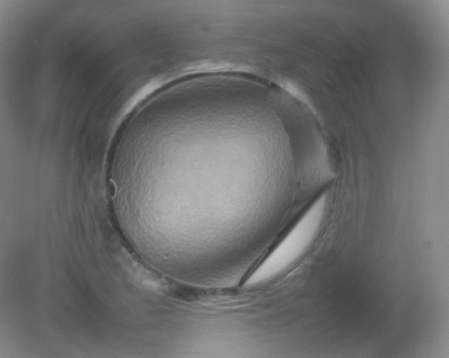 X0000082141173200702021601