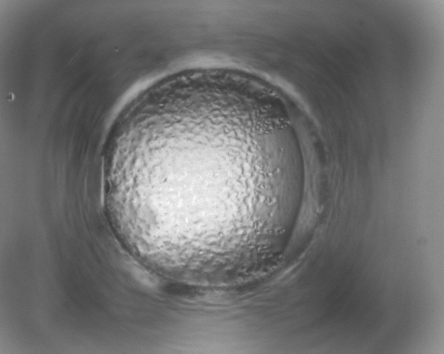 X0000082141175200702021601