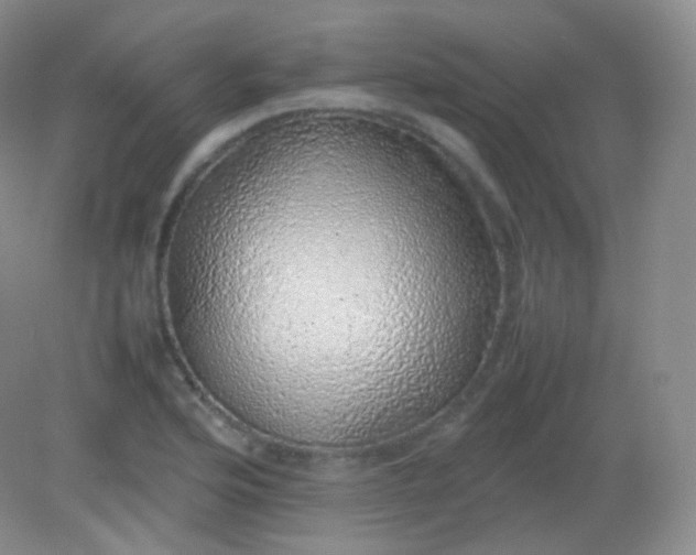 X0000082141176200702021601