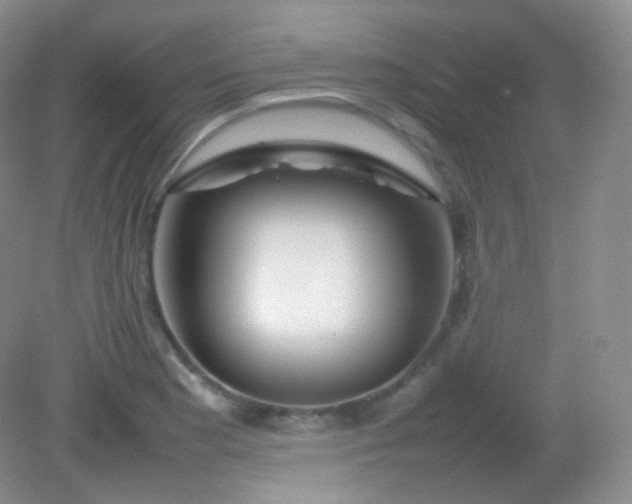 X0000082141177200702021601