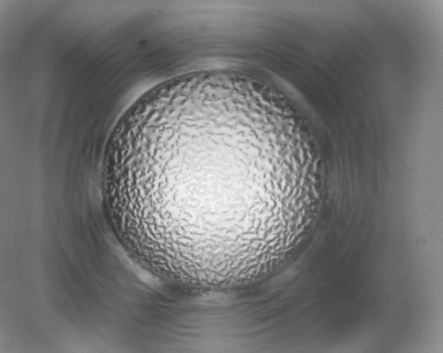 X0000082141178200702021601