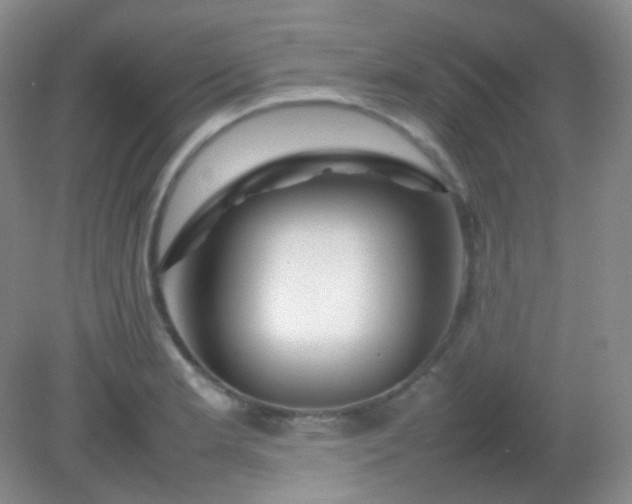 X0000082141181200702021601