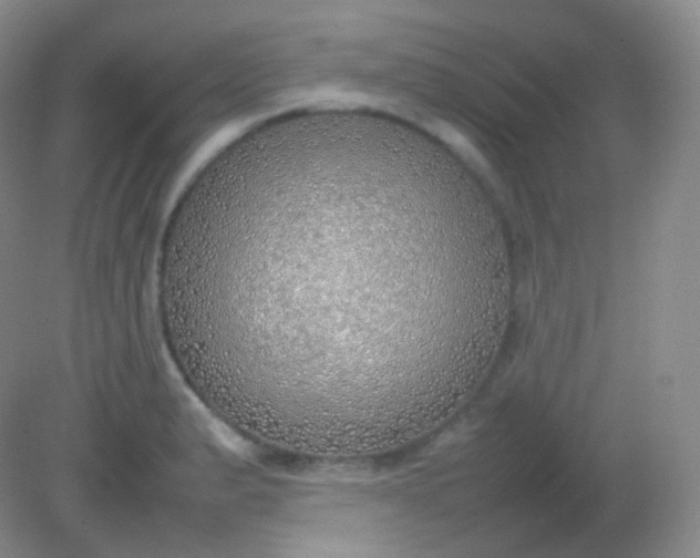 X0000082141183200702021601