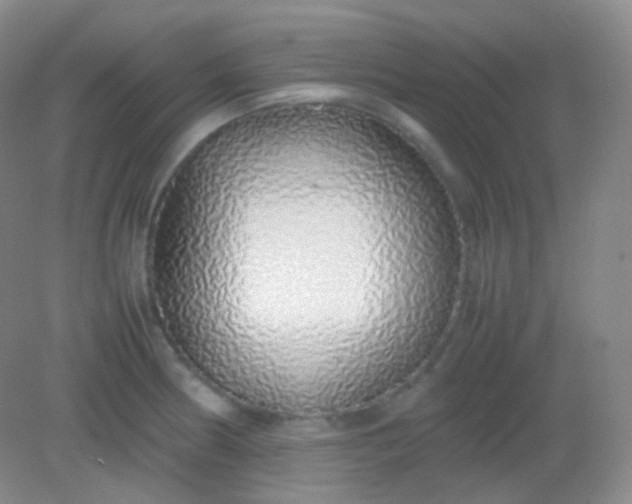 X0000082141186200702021601