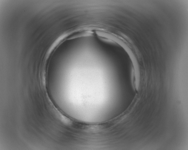X0000082141188200702021601