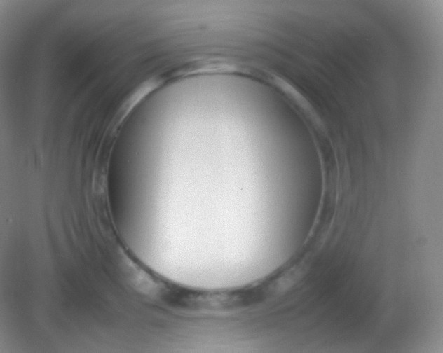 X0000082141193200702021601