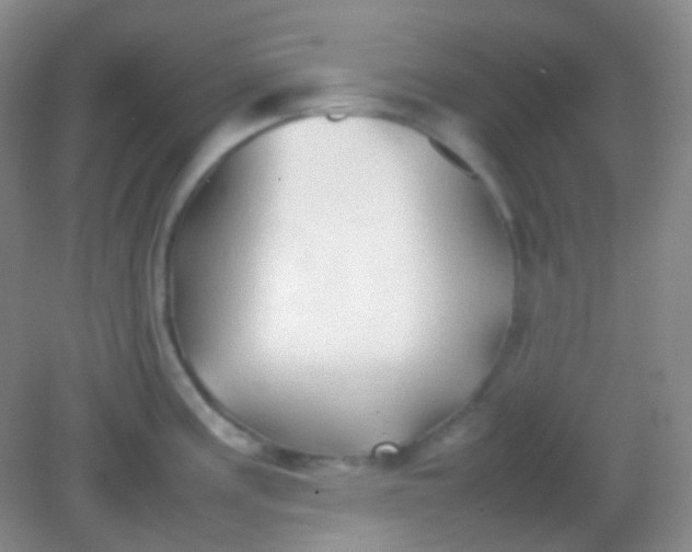 X0000082141195200702021601