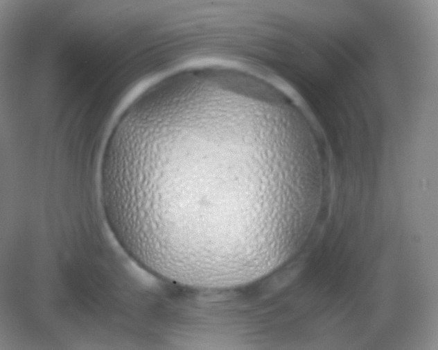 X0000082141199200702021601