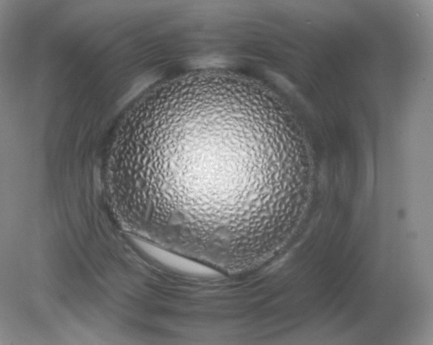X0000082141209200702021600