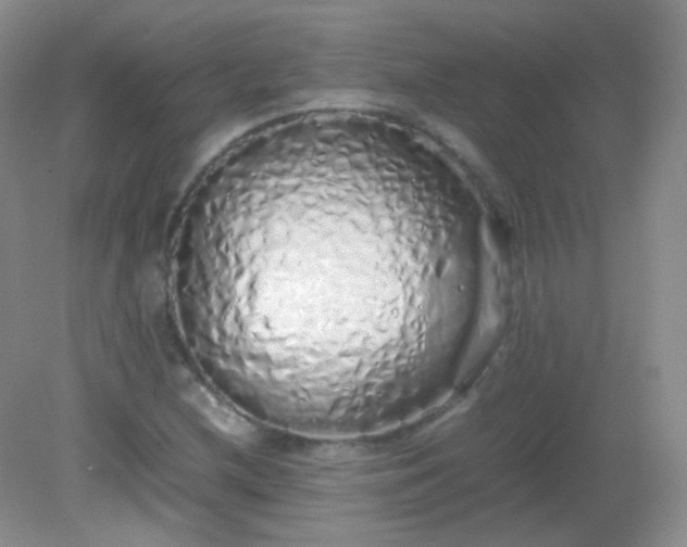 X0000082141212200702021600