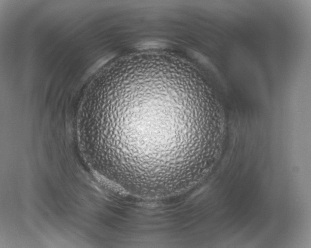 X0000082141217200702021600