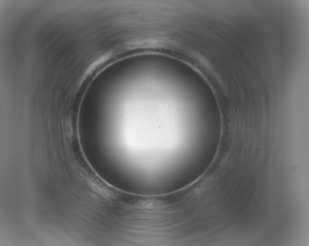 X0000082141218200702021600