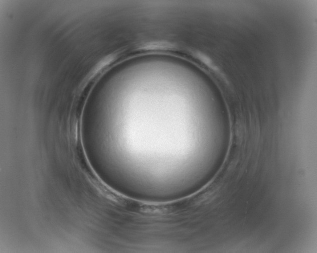 X0000082141221200702021600