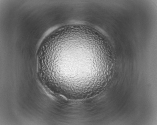 X0000082141223200702021600