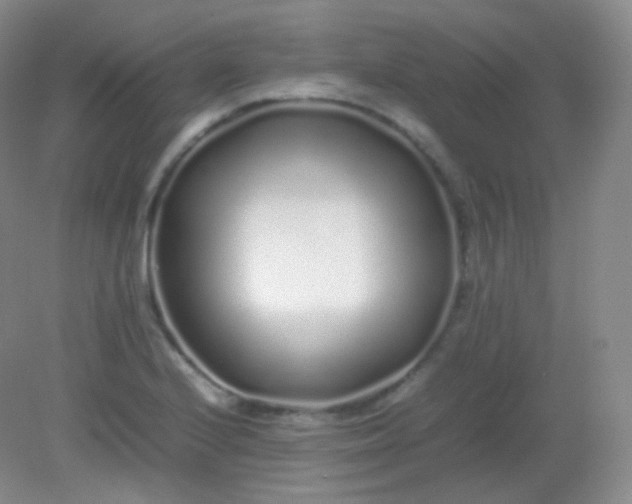 X0000082141224200702021600