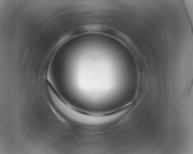 X0000082141225200702021601