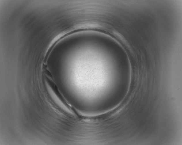 X0000082141226200702021601