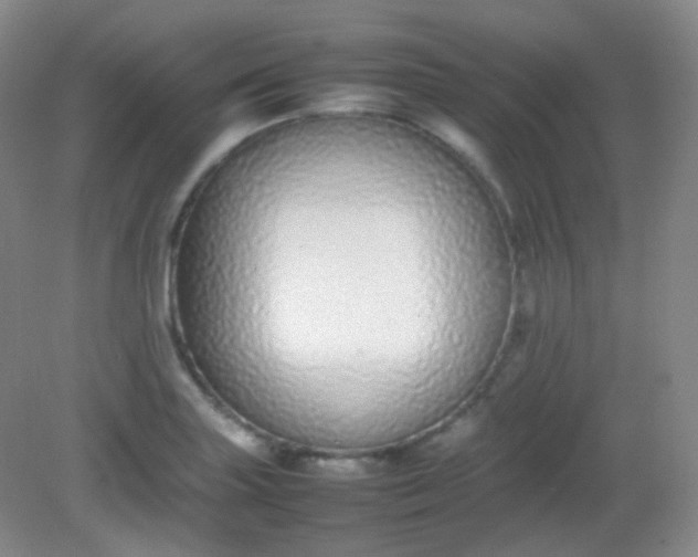 X0000082141227200702021601
