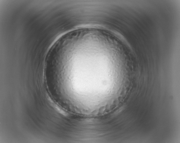 X0000082141228200702021601
