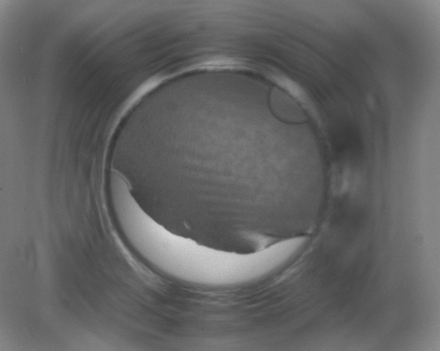 X0000082141229200702021601
