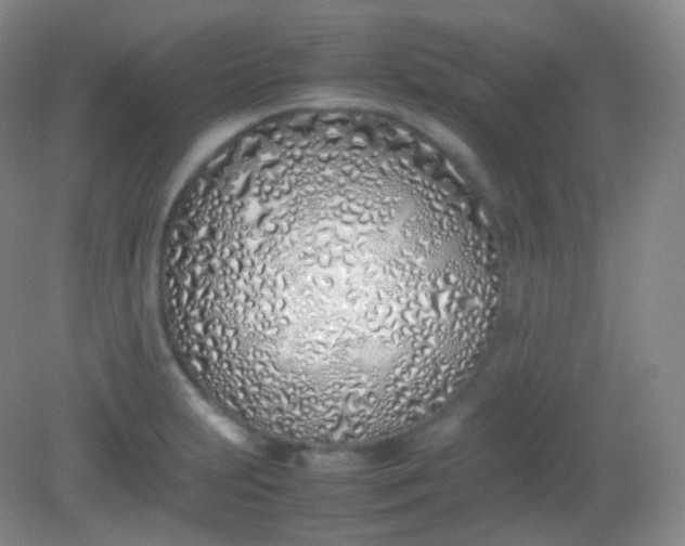X0000082141231200702021601
