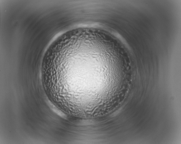 X0000082141232200702021601