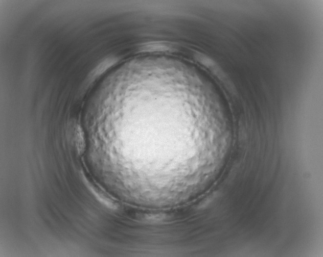 X0000082141233200702021601
