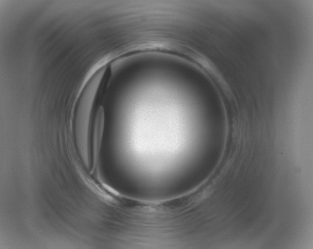 X0000082141234200702021601