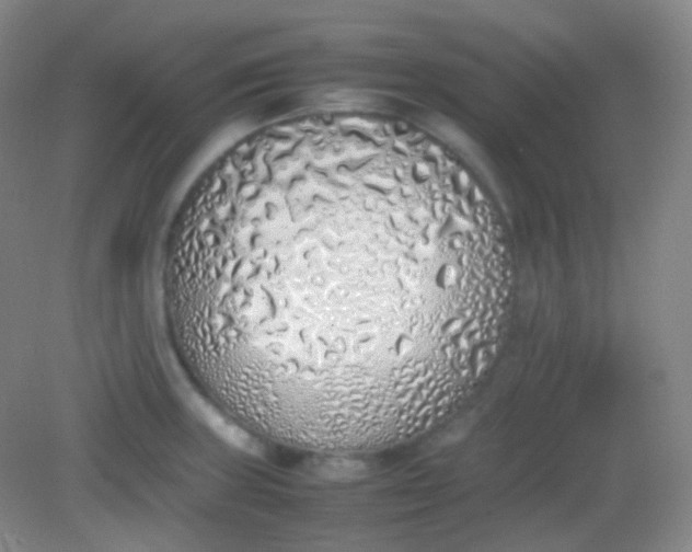 X0000082141235200702021601