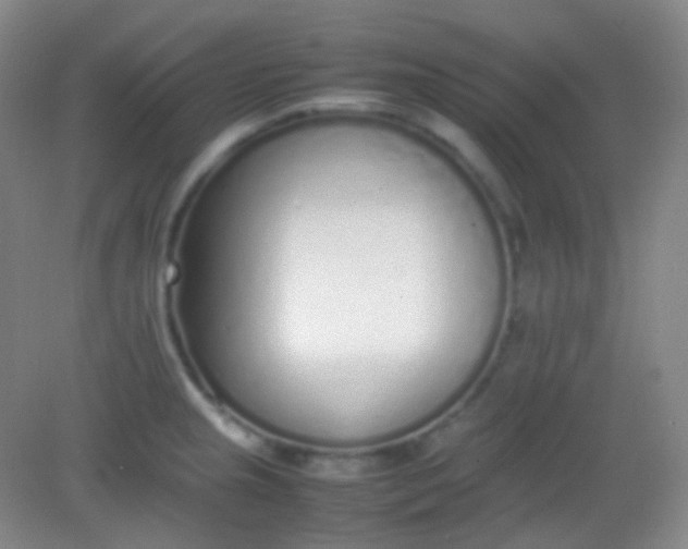 X0000082141237200702021601