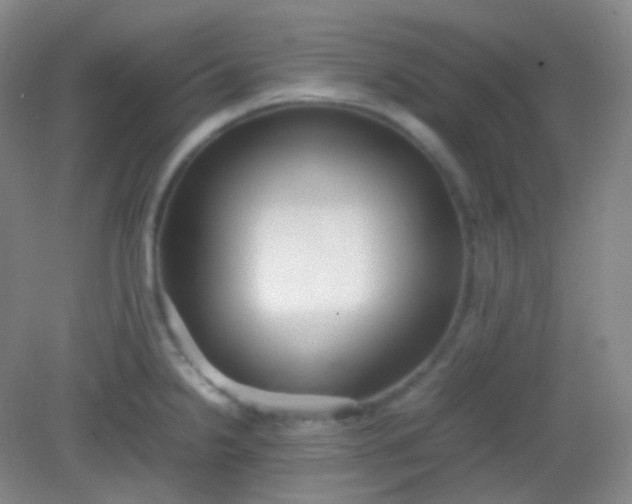 X0000082141238200702021601