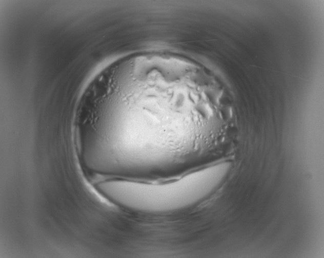 X0000082141239200702021601