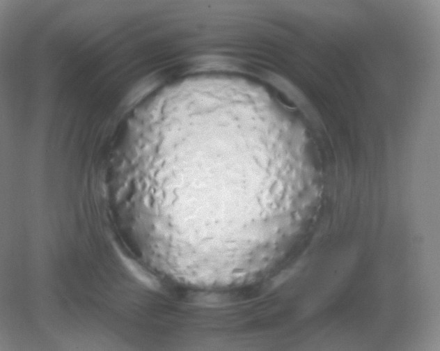 X0000082141241200702021601