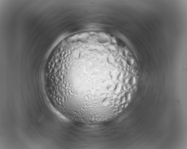 X0000082141243200702021601