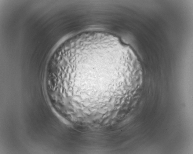 X0000082141245200702021601