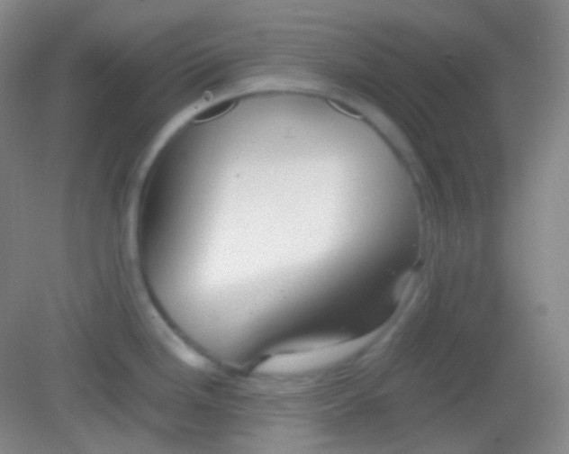 X0000082141246200702021601