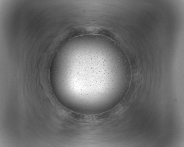 X0000082141249200702021600