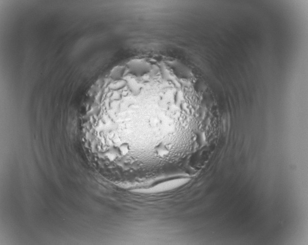 X0000082141251200702021600