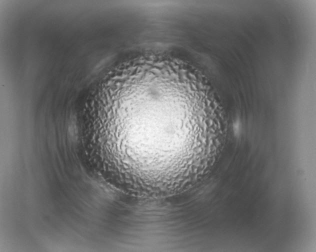 X0000082141252200702021600